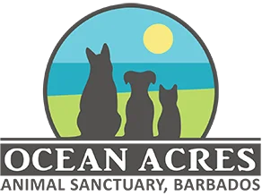 Ocean Acres Animal Sanctuary, Barbados
