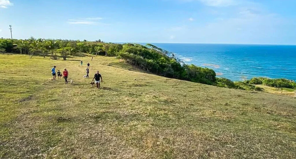 volunteers wanted Ocean Acres Barbados