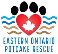Eastern Ontario Potcake Rescue