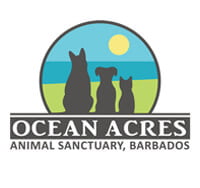 Ocean Acres dog and cat rescue Barbados