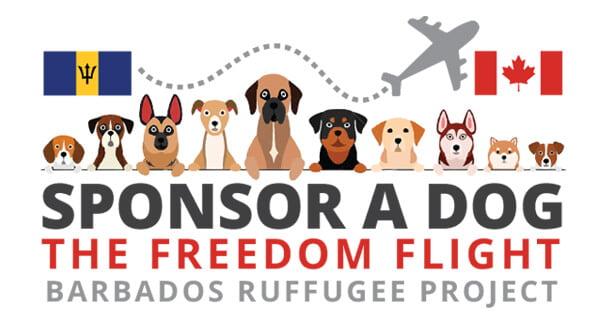 sponsor a dog, the Freedom Flight, Barbados