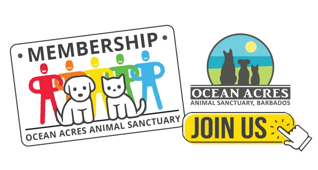 Ocean Acres Membership