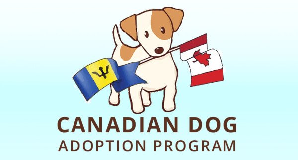 Ocean Acres Canadian Dog Adoption Program