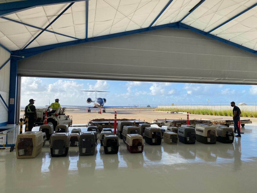 2022 MJET Freedom Flight, Ocean Acres Barbados