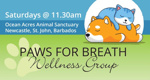Paws For Breath Wellness Group, Ocean Acres Animal Sanctuary