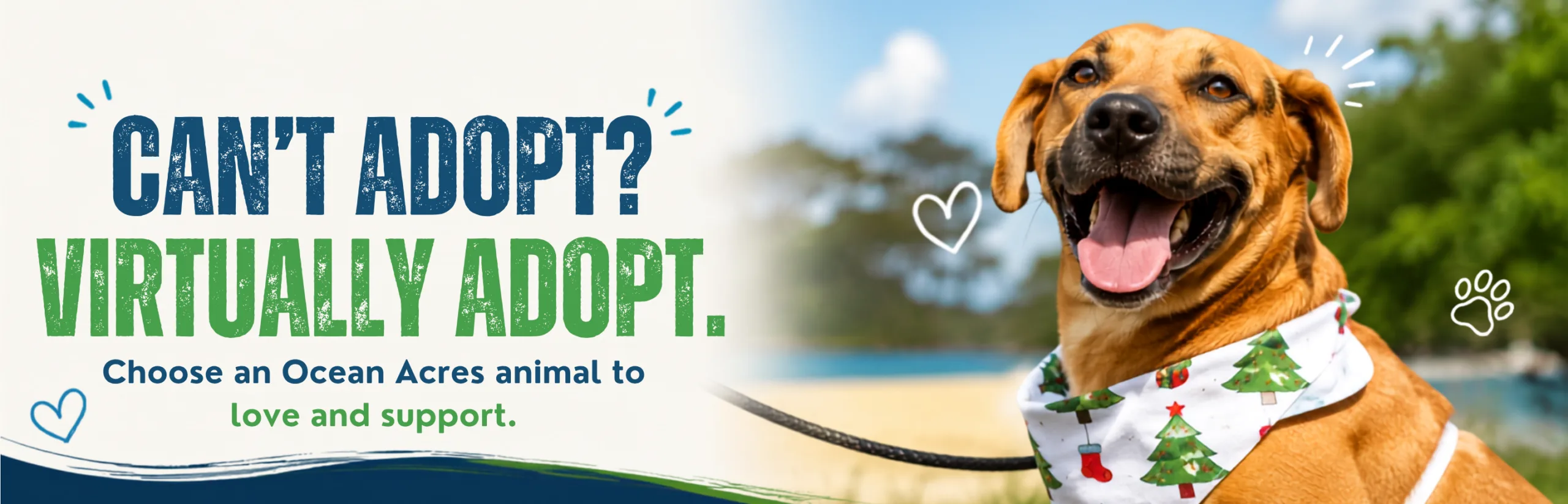 Ocean acres Hero image - Text - Can't adopt? Virtually Adopt.
